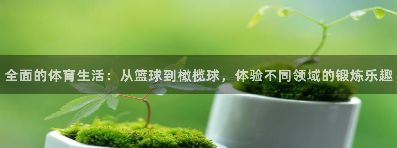 全面的体育生活：从篮球到橄榄球，体验不同领域的锻炼乐趣