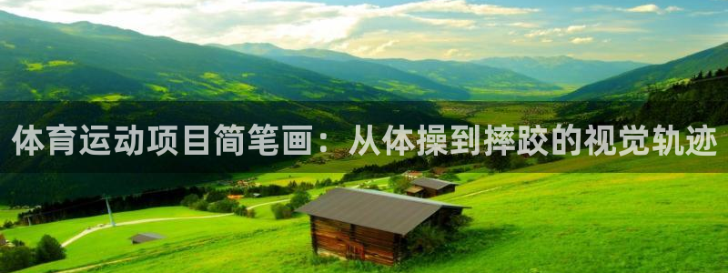 体育运动项目简笔画：从体操到摔跤的视觉轨迹