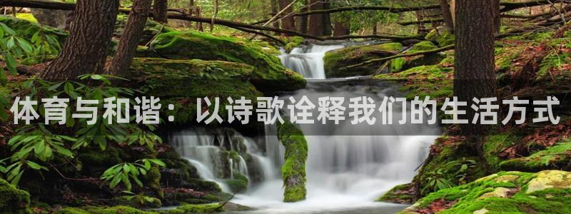 体育与和谐：以诗歌诠释我们的生活方式