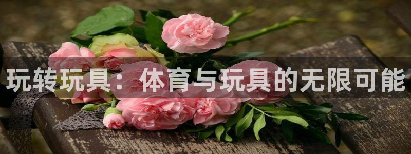 玩转玩具：体育与玩具的无限可能