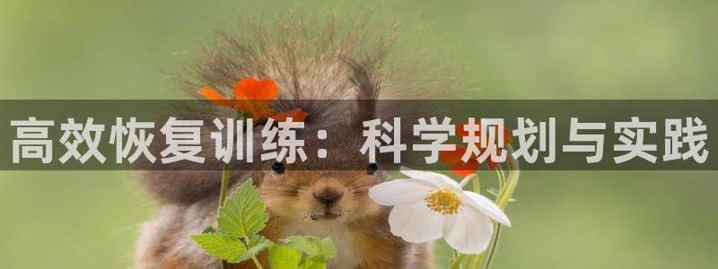 高效恢复训练：科学规划与实践