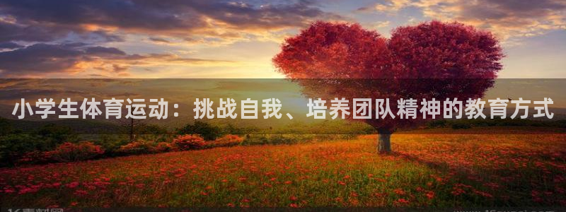 小学生体育运动：挑战自我、培养团队精神的教育方式